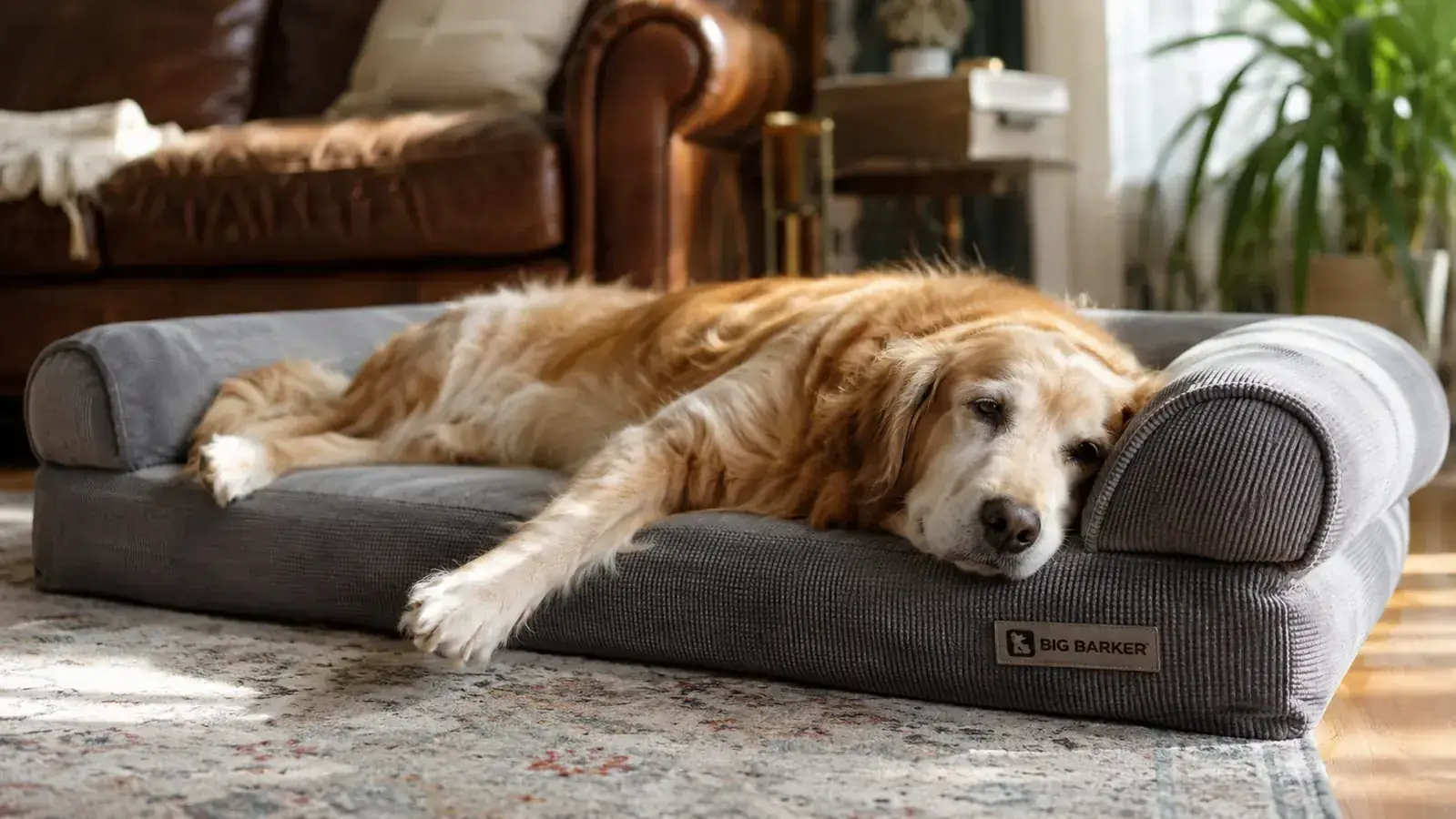 Bedsure Orthopedic Dog Bed Honest Review: Great Bed or Just Good Marketing?