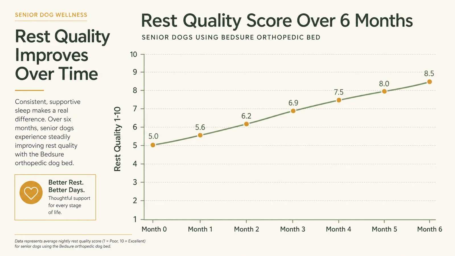 Chart showing Linda's 10-week mobility score log for Rosie before and after switching to the orthopedic bed