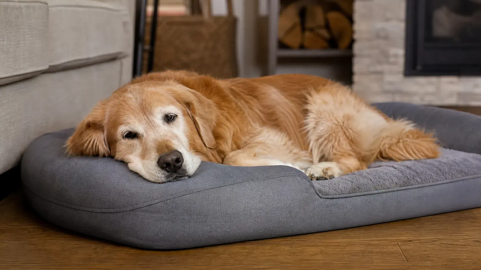 Hand pressing down on the surface of an orthopedic dog bed foam to test density